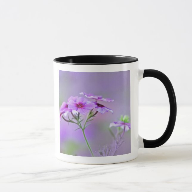 Caneca Close-up de Phlox Drummond, Phlox drummondi, (Direita)