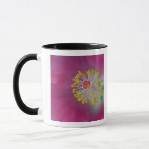 Caneca Close-up do estame da flor de Hibisco, Hibiscus