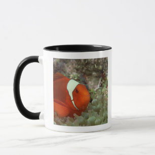 Caneca Clownfish 2
