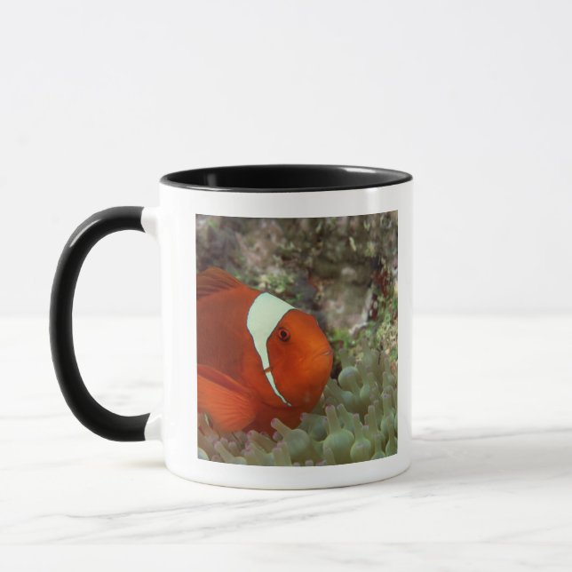 Caneca Clownfish 2 (Esquerda)