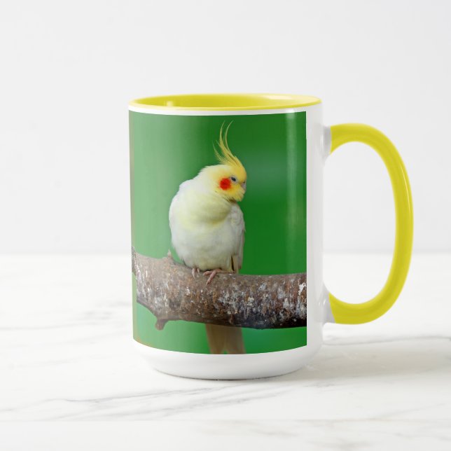 Caneca Cockatiel , Nymphicus hcus (Direita)