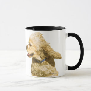 Caneca Cocker spaniel