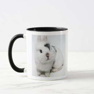 Caneca Coelho branco, preto e marrom