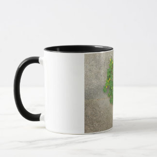 caneca com design de trevo natural