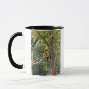 Caneca com Foto de Araras