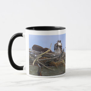 Caneca com Foto do Pássaro Águia-Pescadora