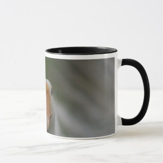 Caneca com gansos…