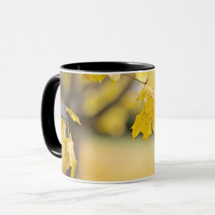 Caneca Combo