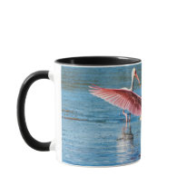 Caneca Combo 11 oz Colher-de-bico Rosada Preta