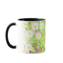 Caneca Combo de Duas Cores com Campo de Margaridas