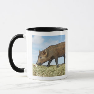 Caneca Comer do leitão