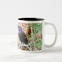 Caneca comum de Grackle