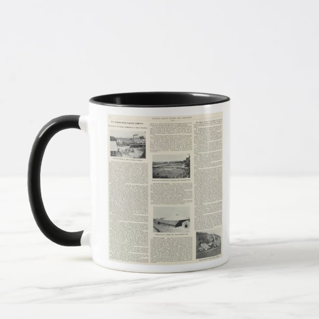 Caneca Condado de Sonoma, Califórnia (Esquerda)