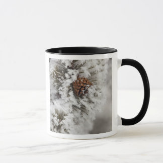 Caneca Cone Lodgepole Pine no inverno em Yellowstone