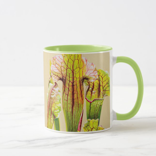 Caneca Conjunto litoral da planta de jarro (Direita)