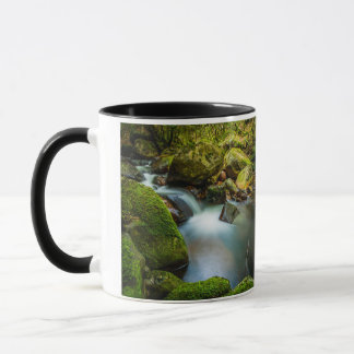 Caneca Coolalingo Waterfall: Serenidade em Wicklow