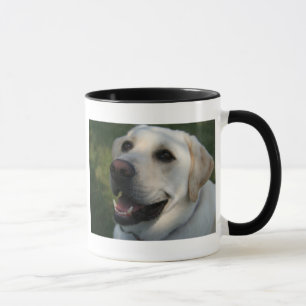 CANECA COORS