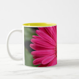 Caneca cor-de-rosa da margarida do Gerbera
