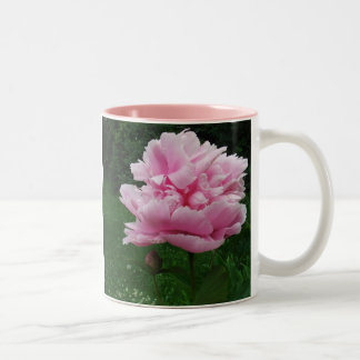 Caneca cor-de-rosa da peônia