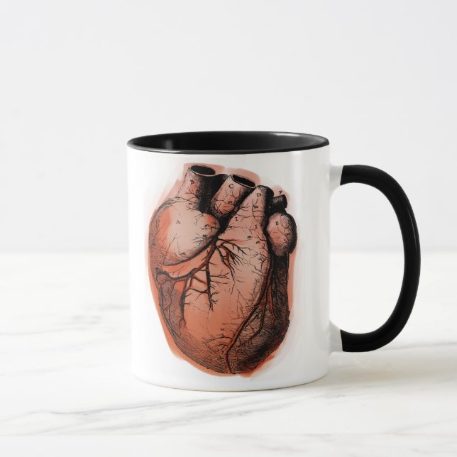 Caneca Coração Anatomicamente Correto (Direita)