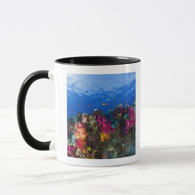 Caneca Corais macios no recife raso, Fiji (Esquerda)