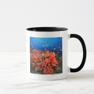 Caneca Coral e peixes
