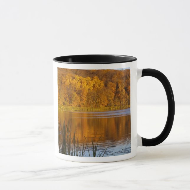 Caneca Cores de outono no Parque Estadual Maplewood perto (Direita)
