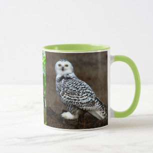 CANECA CORUJA