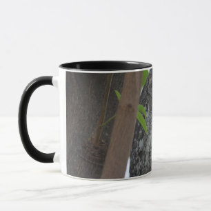 Caneca Coruja africana dormindo numa árvore