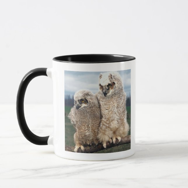 Caneca Coruja da mãe e do bebê (Esquerda)