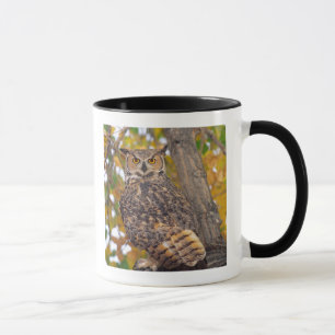Caneca Coruja-grande