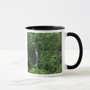 Caneca Costa Rica, área do vulcão Arenal, Pontes Pendurad