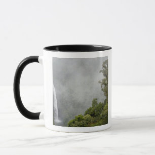 Caneca Costa Rica, floresta nublada nas montanhas perto d