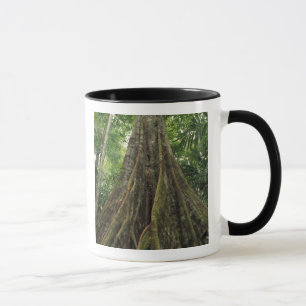 Caneca Costa Rica, Parque Nacional Corcovado, Apoiado