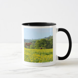 Caneca Cotswolds, Reino Unido