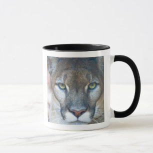 Caneca Cougar, leão da montanha, Puma da Flórida