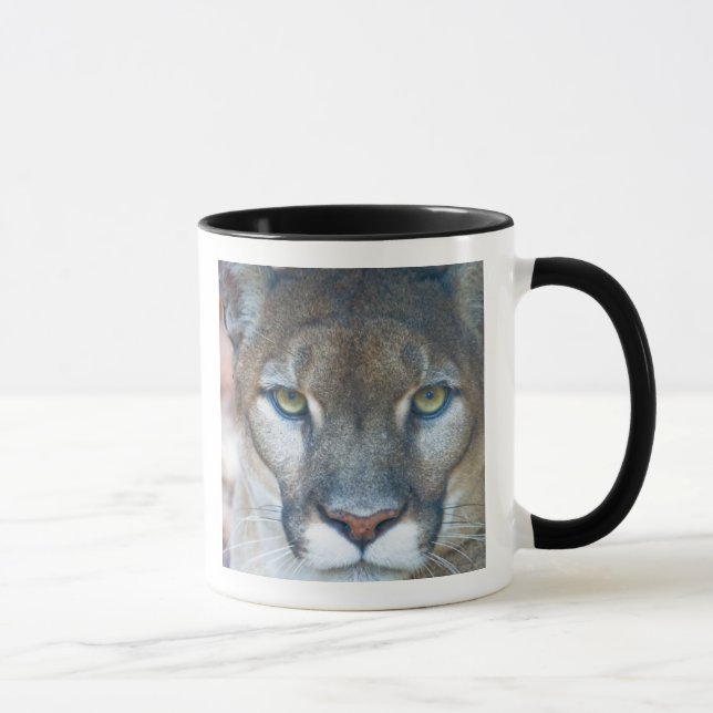 Caneca Cougar, leão da montanha, Puma da Flórida
