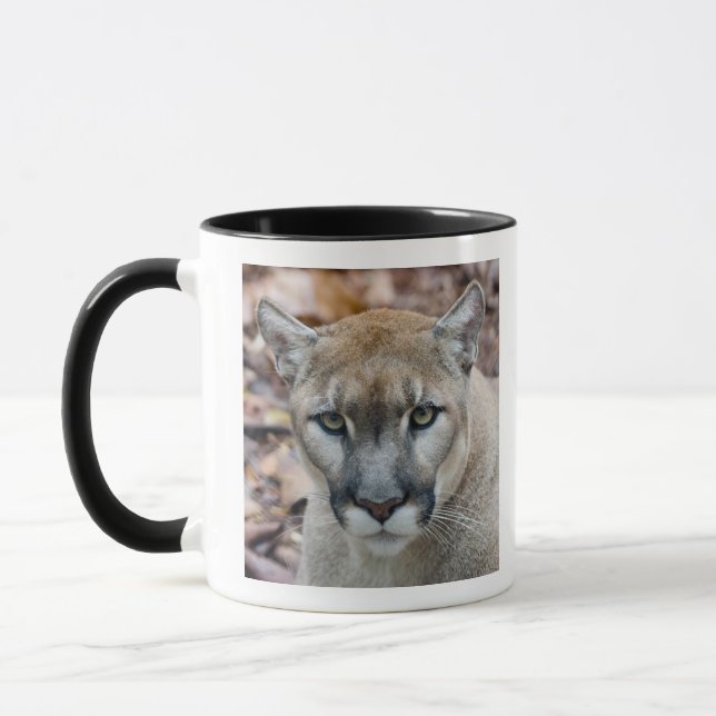 Caneca Cougar, leão da montanha, Puma da Flórida (Esquerda)