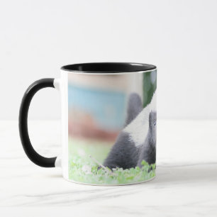 Caneca Crachá de mel de bebê em fotografia de grama verde