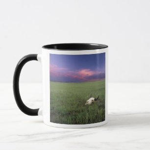 Caneca Crânio de Búfalo em Grama de Pradaria perto de Med
