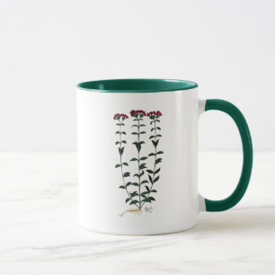Caneca Cravo italiano 6