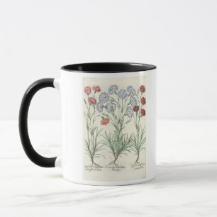 Caneca Cravos: albo multiplex do flore 1.Caryophyllus; 2