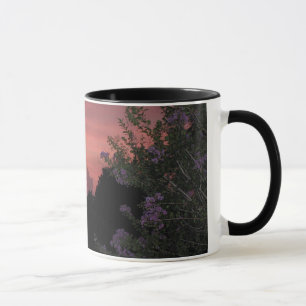 Caneca Crepe Myrtle e por do sol