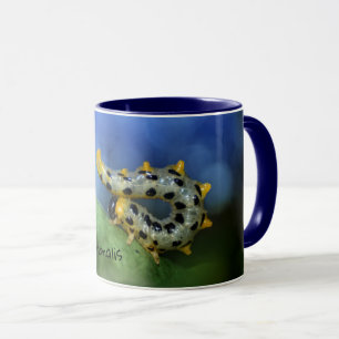 Caneca Croesus septentrionalis