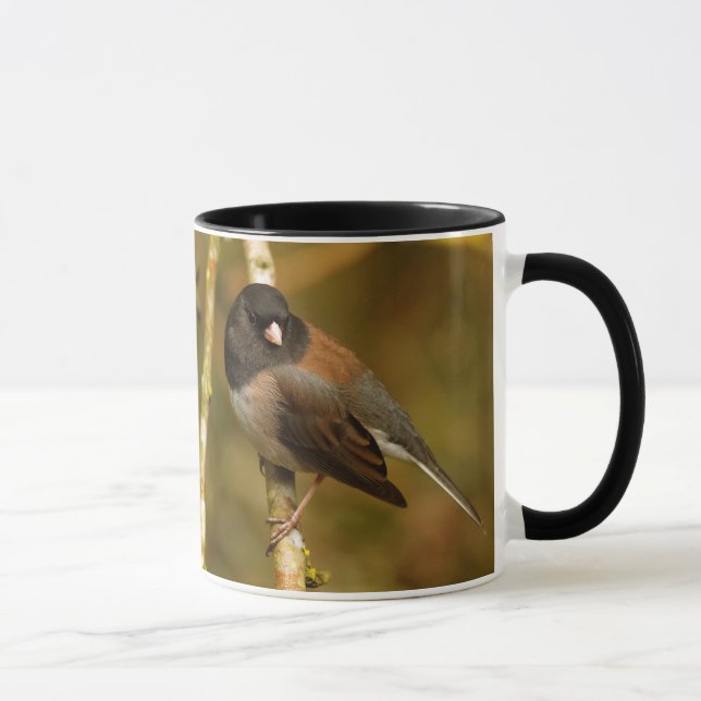 Caneca Curioso Songbird Junco de Olhos Escuros (Direita)
