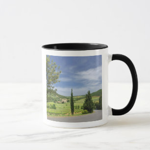 Caneca Curvagem por estrada nacional entre ciprestes