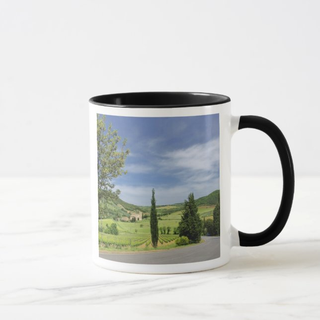 Caneca Curvagem por estrada nacional entre ciprestes (Direita)