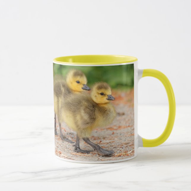 Caneca Cuteness on Parade: Canadá Goslings (Direita)