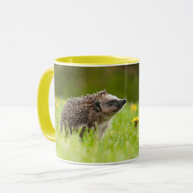Caneca Cutest Baby Animals | European Hedgehog (Frente Esquerda)