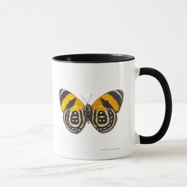 Caneca Cynosura de Catagramma (Direita)